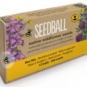 Bee Large Seed Box