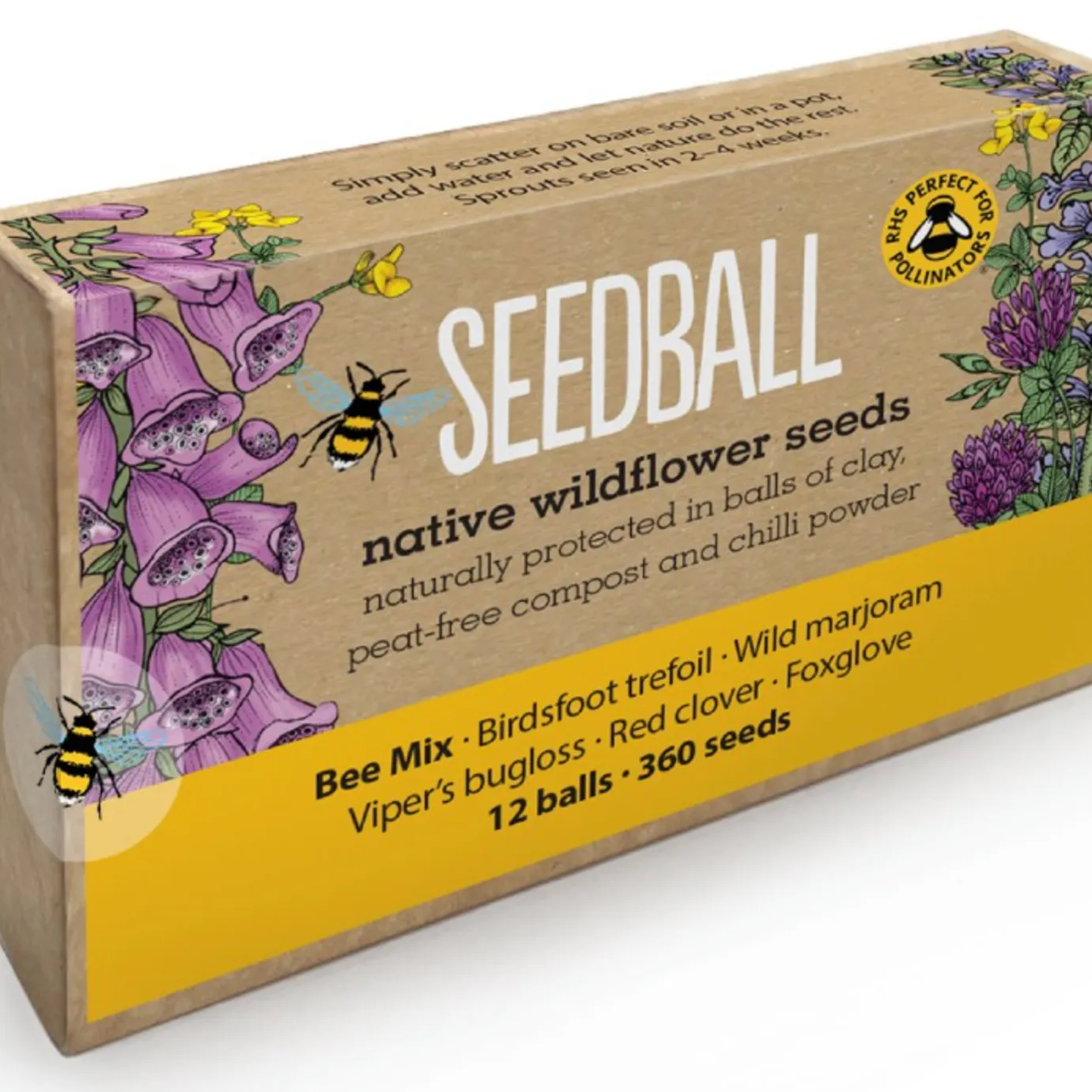 Bee Large Seed Box