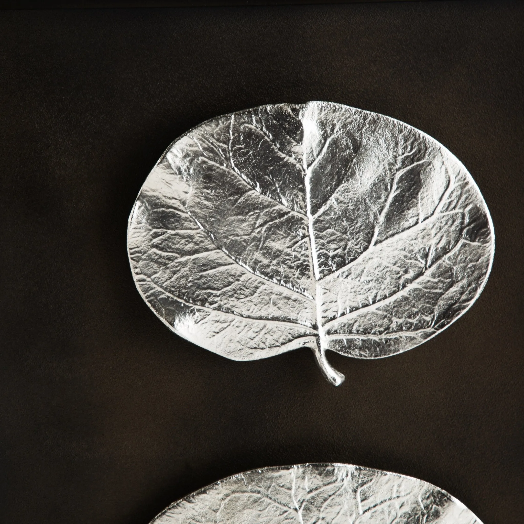 Botanical Leaf Shadow Box