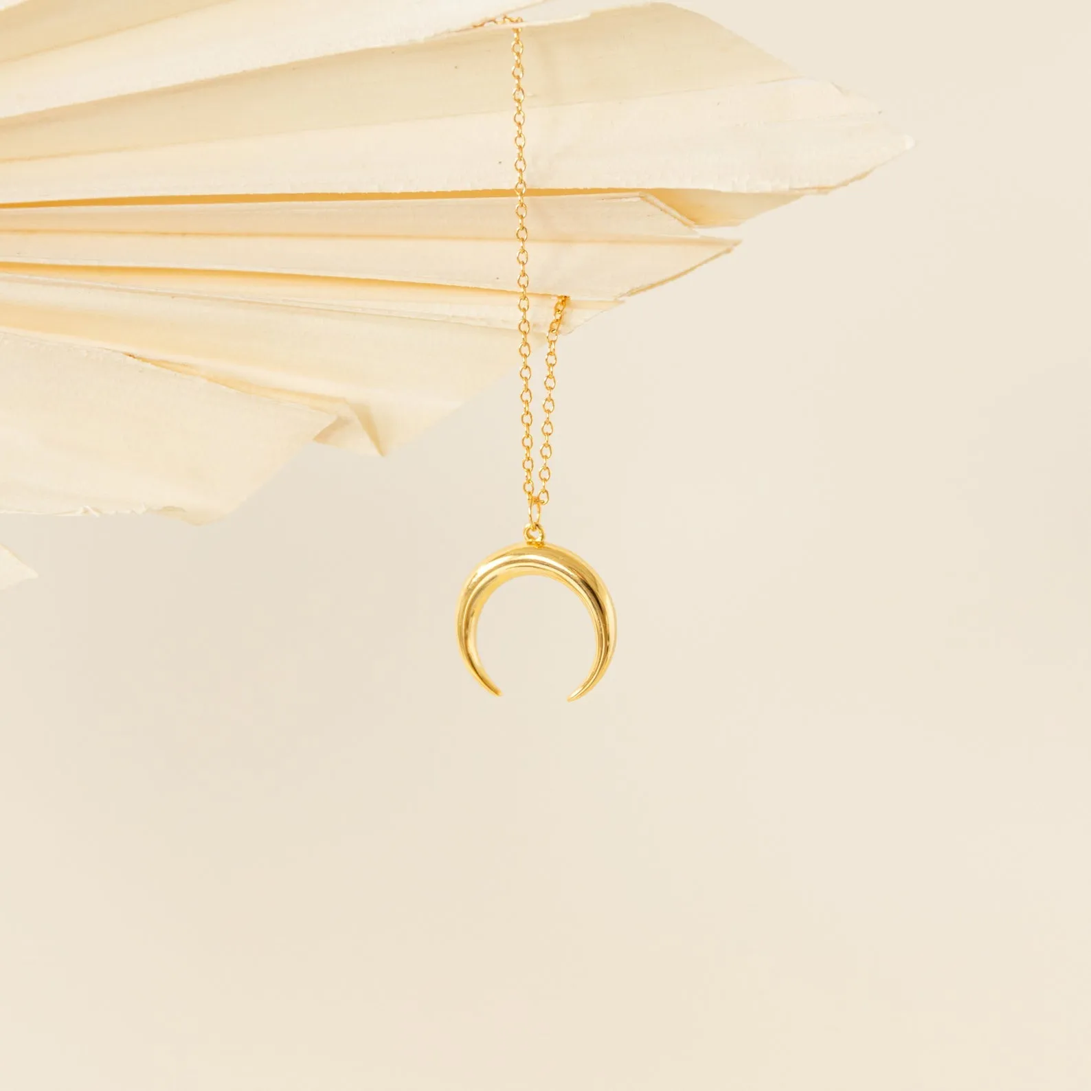 Crescent Moon Necklace