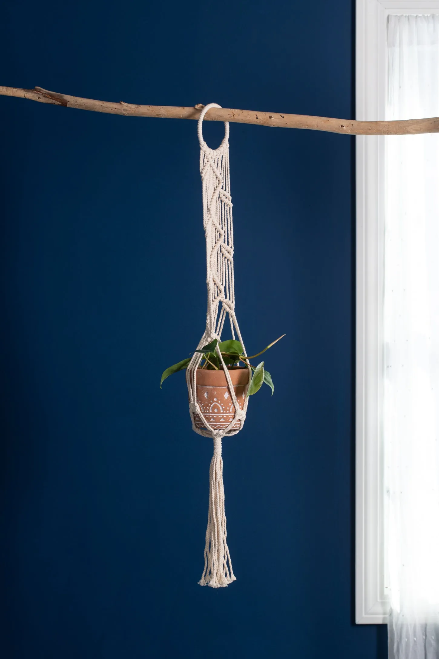 Crochet Single Plant Hanger