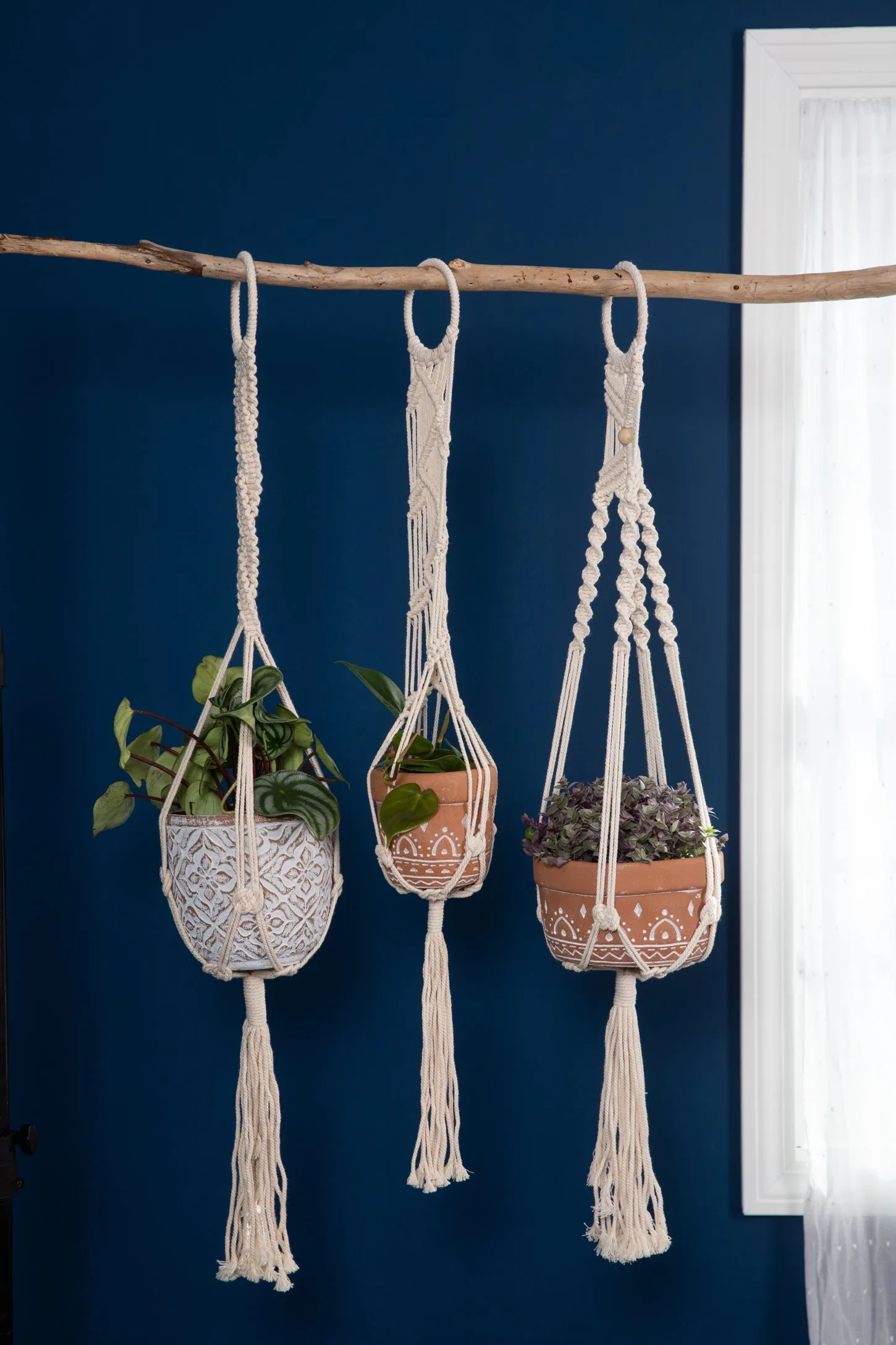 Crochet Single Plant Hanger