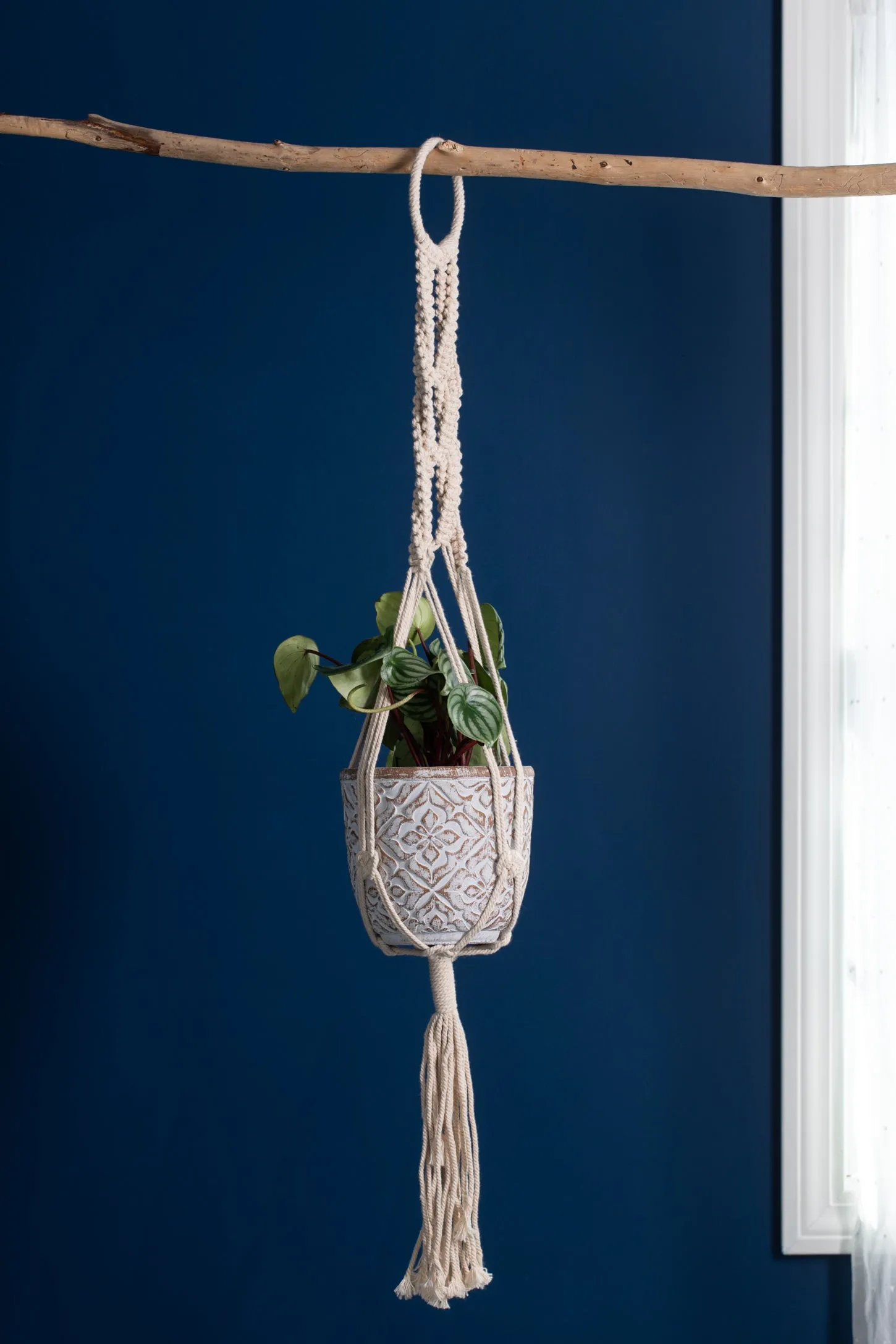 Crochet Single Plant Hanger