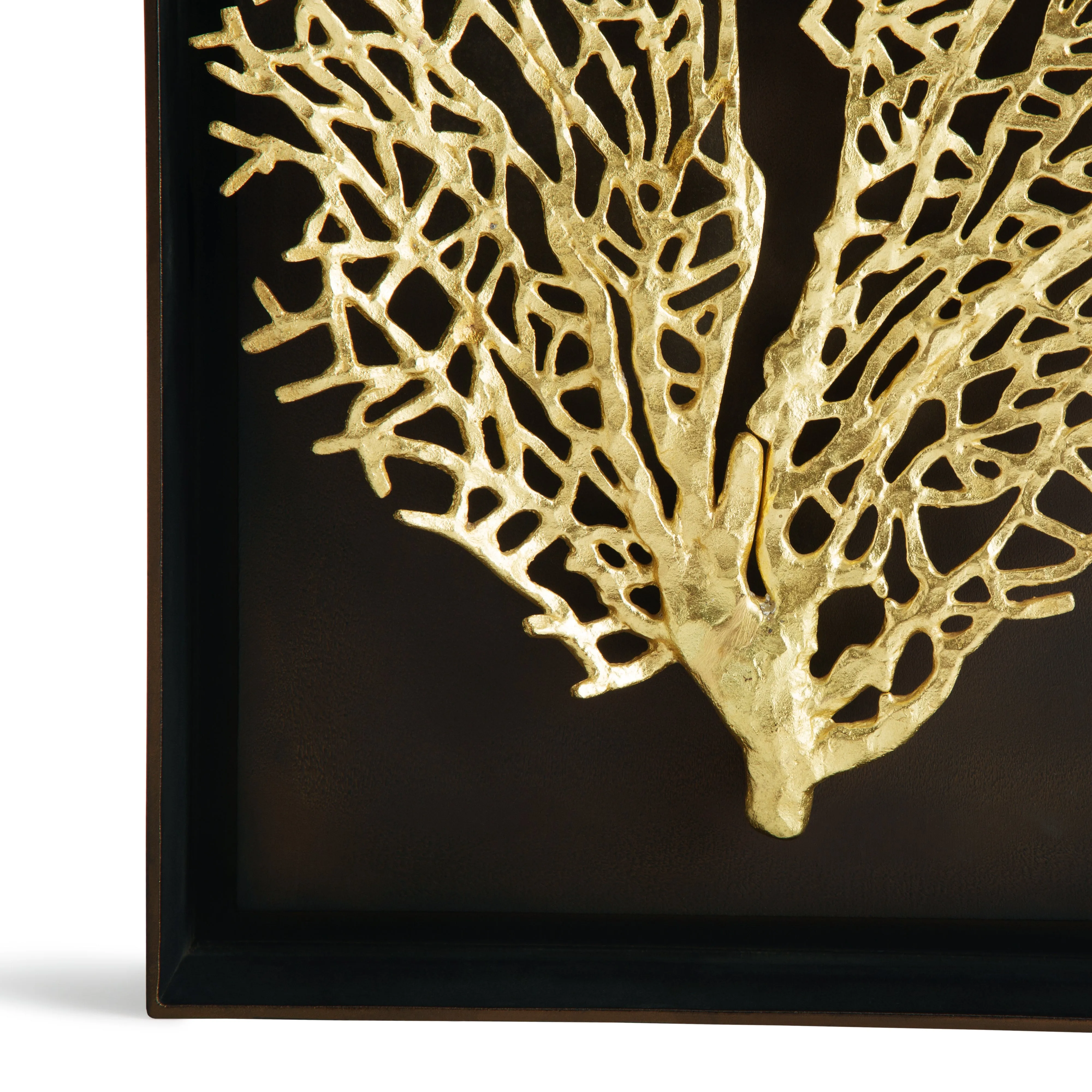 Fan Coral Shadow Box