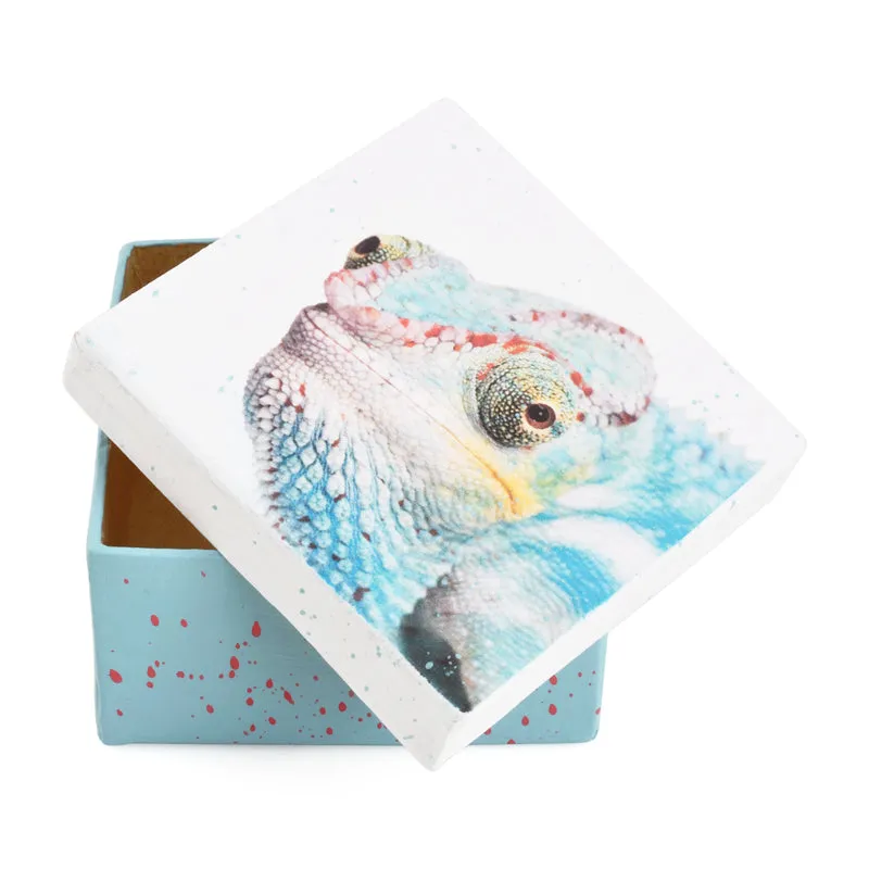 Gift Boxes-Young Chameleon-Paper Mache-Square-X-Small-Quantity 1