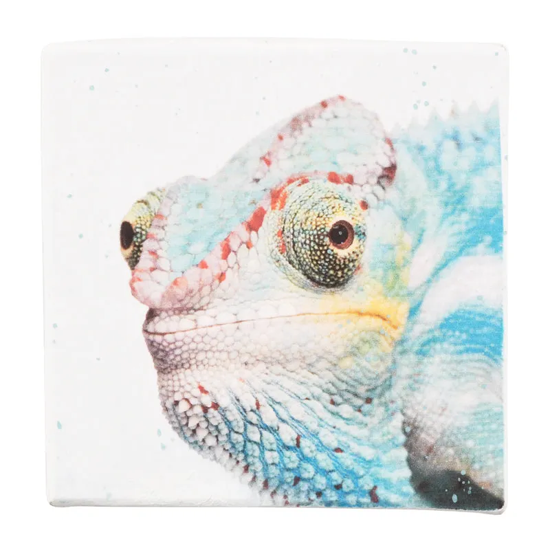 Gift Boxes-Young Chameleon-Paper Mache-Square-X-Small-Quantity 1