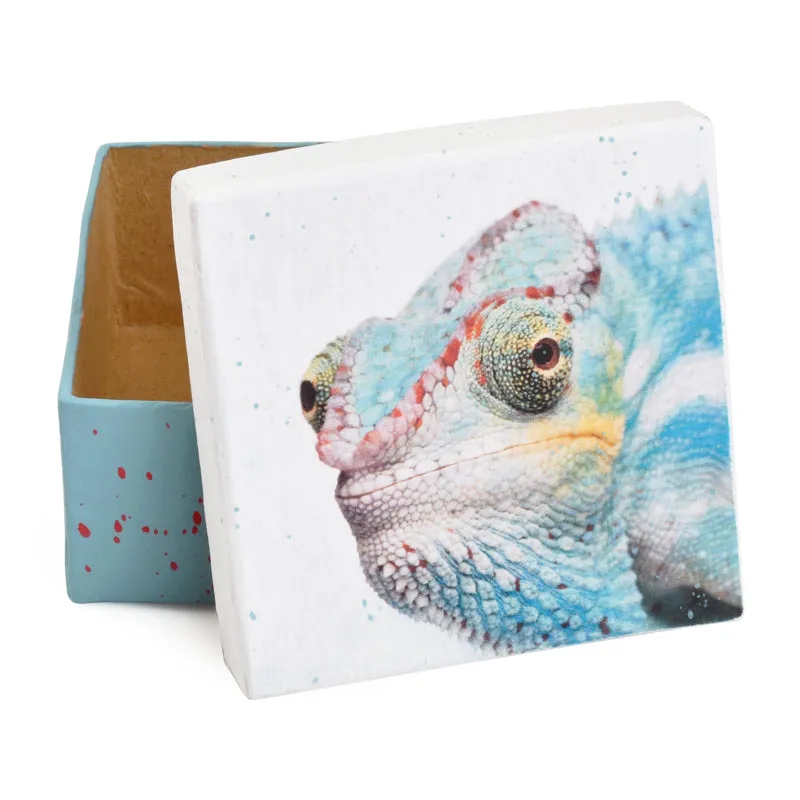 Gift Boxes-Young Chameleon-Paper Mache-Square-X-Small-Quantity 1