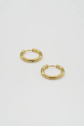 Gold Hoops