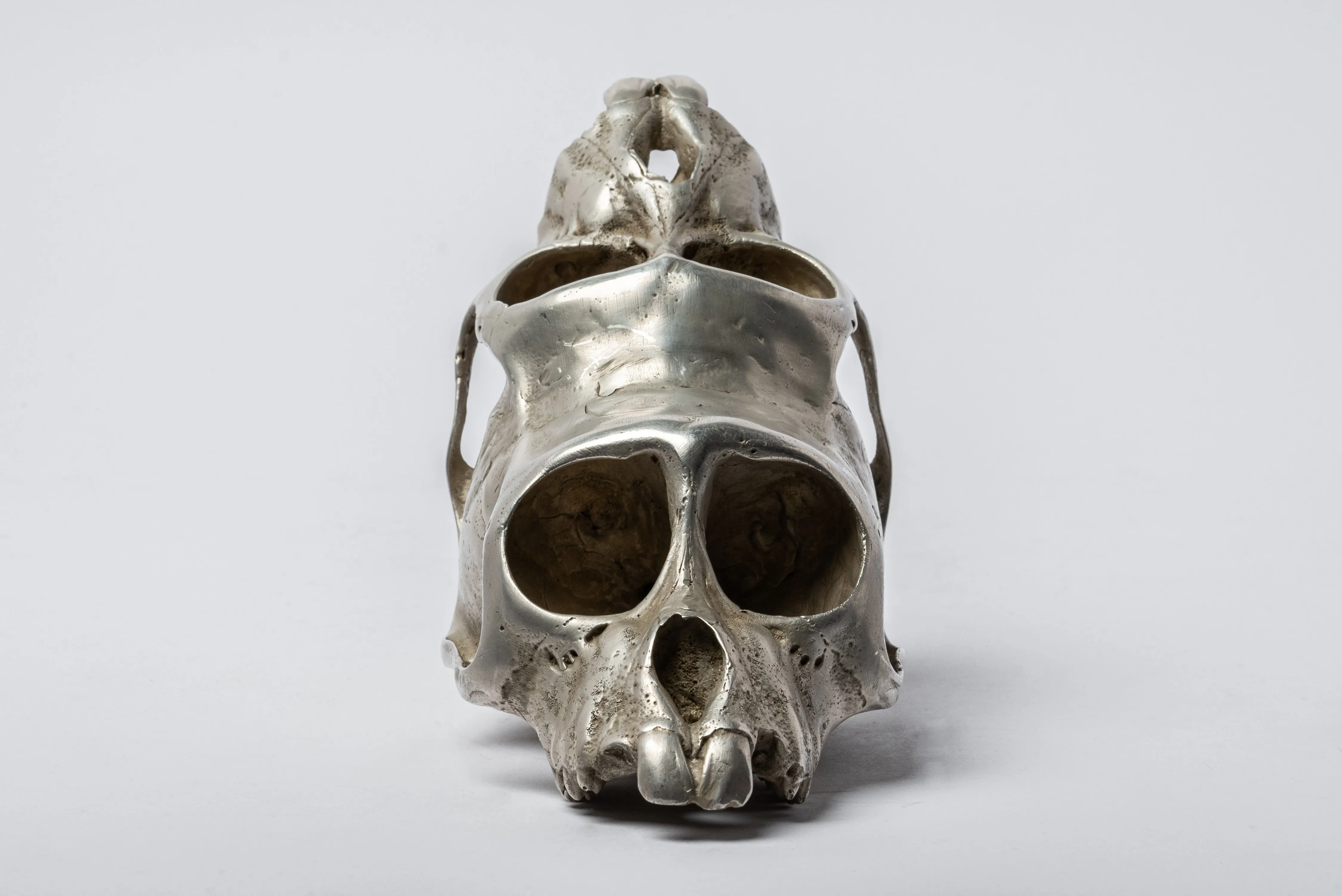 Monkey Skull Box (Double, AS)