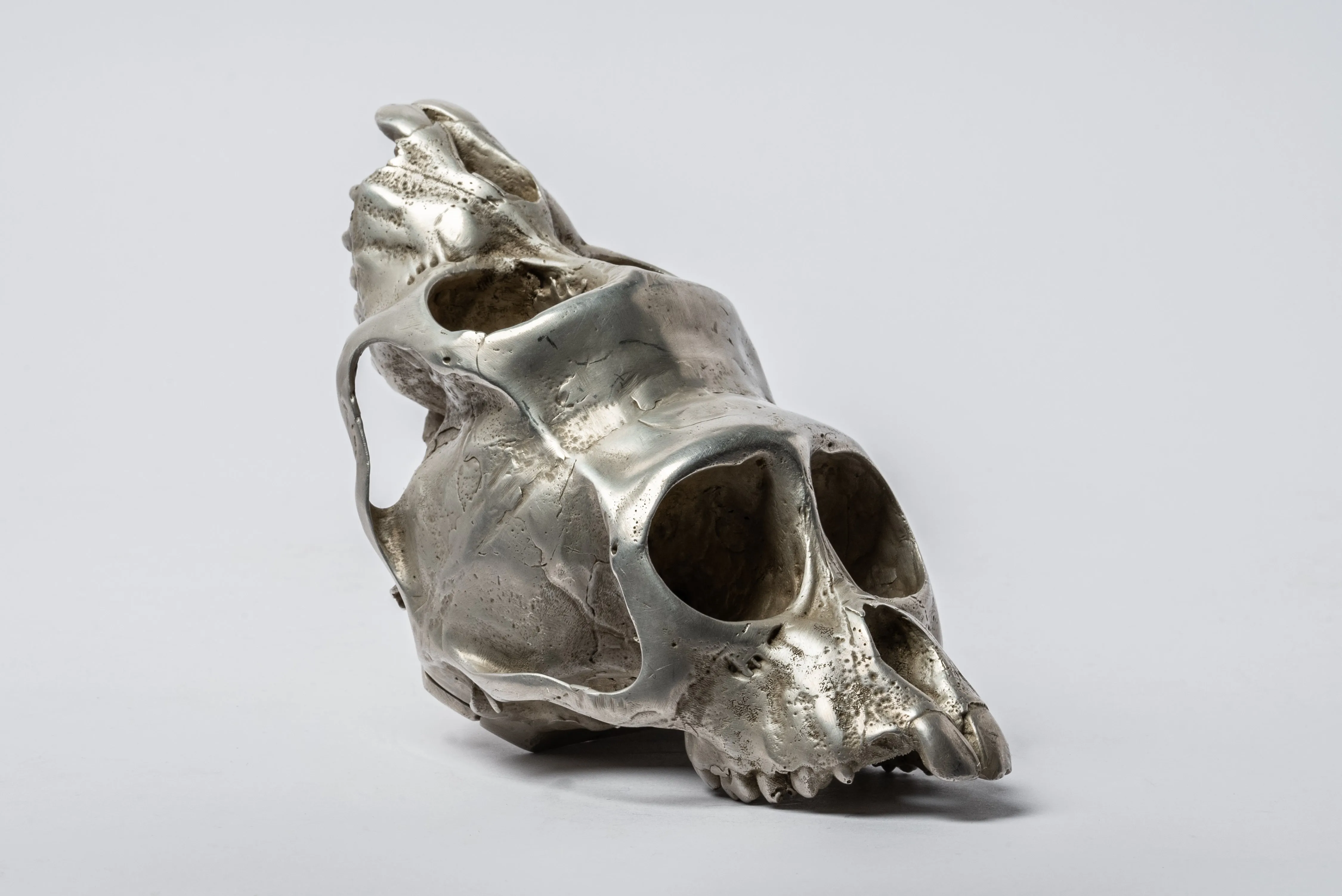 Monkey Skull Box (Double, AS)