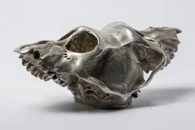 Monkey Skull Box (Double, AS)