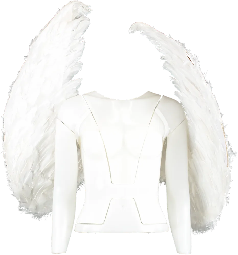 PrettyLittleThing White Extra Large Feather Angel Wings One Size