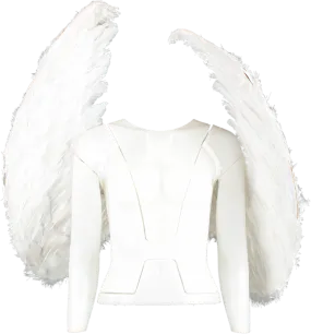 PrettyLittleThing White Extra Large Feather Angel Wings One Size