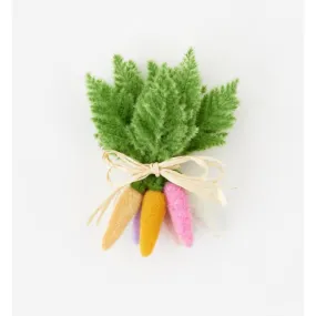 Small Colorful Carrot Bunch