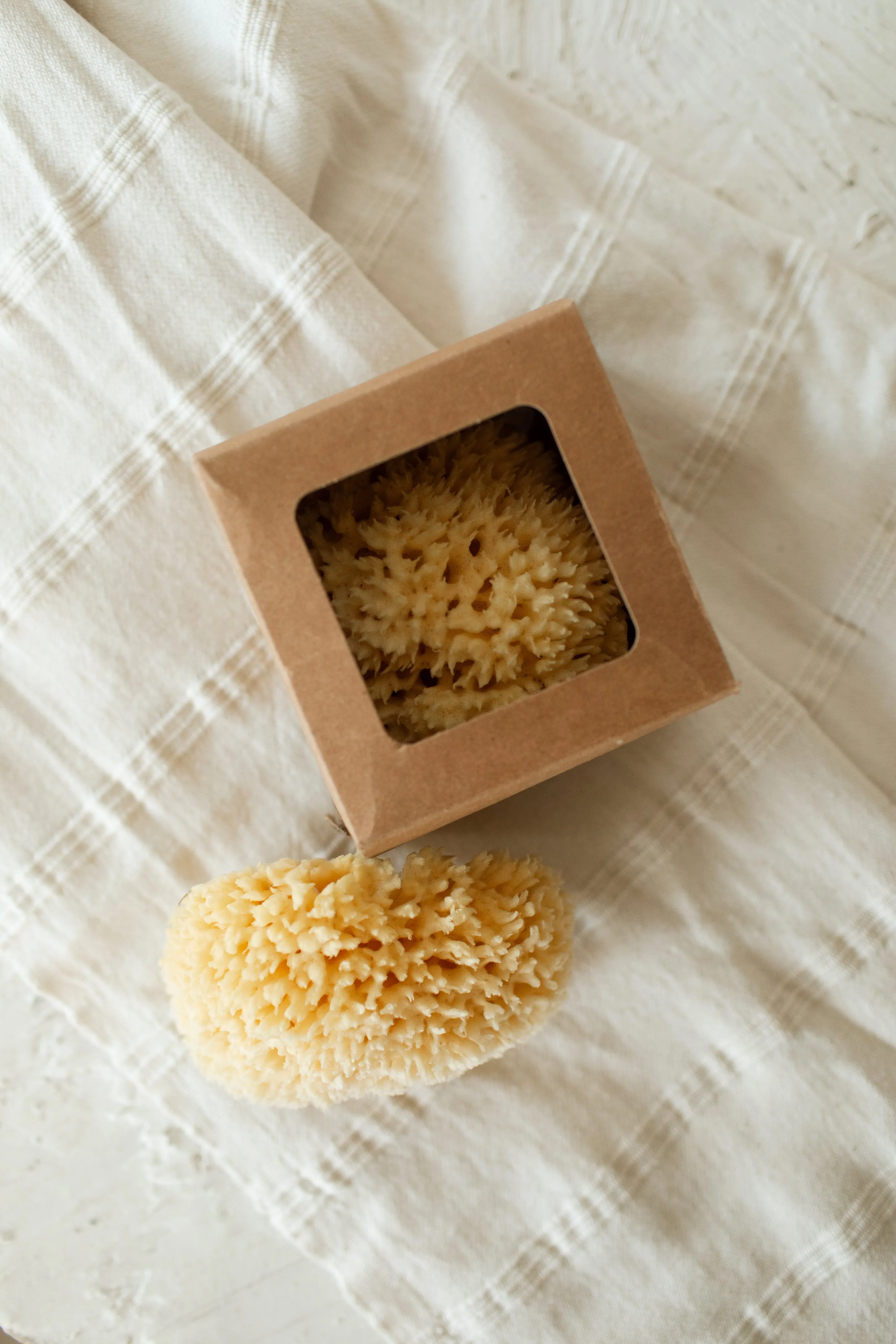 Wool Sponge, Small